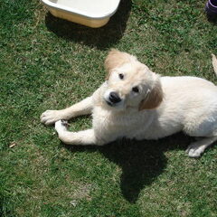 Look at me!