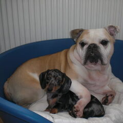 Beste vriendjes...