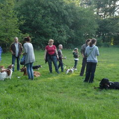lekker een boswandeling met de groep.