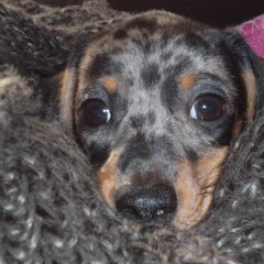 Lieve oogjes..