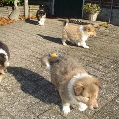 lekker buiten in de zon