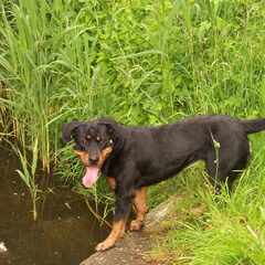 Wandeling 29-05-2011