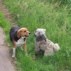 Wandeling 29-05-2011