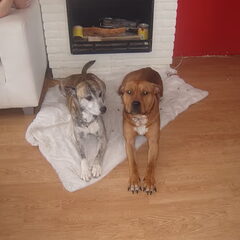 Mamma en Pappa Rufus