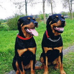 Yutha & Luna samen op de foto gezelig he