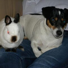 Maya en Droppie.