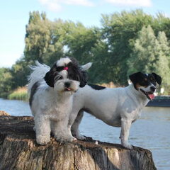 Maya en Misty aan het poseren.