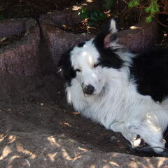 Bodhi wordt wakker...