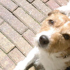 dit is ons prinsesje taicko... ze is 8jr.