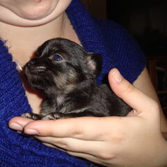 Bella 3 weken, eerste x gezien