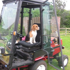 traktor test