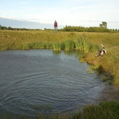 Vliegende hond...