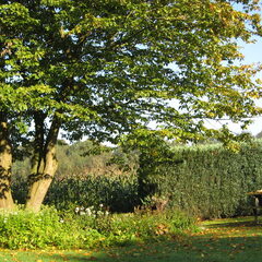 de tuin