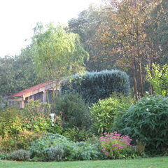 ook de tuin