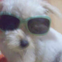 Daisy Hilton :)