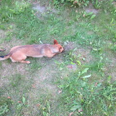 ............zoek de mol...