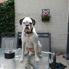 af en toe een beetje stout!