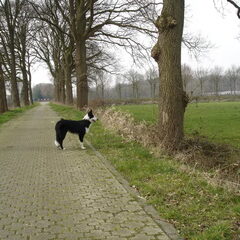 Harry aka Dude overdenkt zijn strategie.