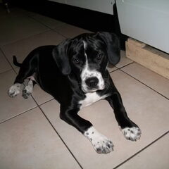layla 4.5 maanden oud