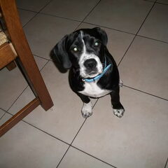 layla 4 en half maand oud