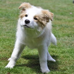 Kyra 3.5 maand oud.