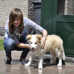 Samen!