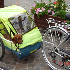 Hier zit ik in de fietskar! Wat hebben we een bekijks gehad…