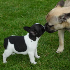 Liefde op het eerste zicht :)
