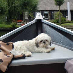 Chillen in het bootje in Giethoorn