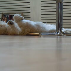 Lekker chillen
