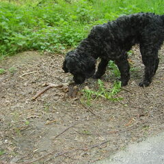 Eventjes Snuffelen..Wat Is Dat Nou..??