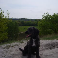 Mooi Poseren..