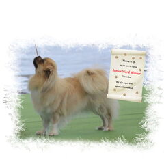 Hier is Moena Junior World Winner 2011 geworden