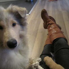 Hallo !!