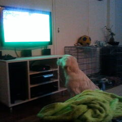 Jaaa ik kijk ook tv hoor...