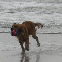 James loves water