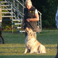 James loves hondenschool de GAVERHOND