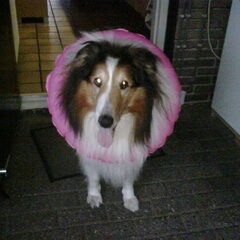 onze badmeester!!