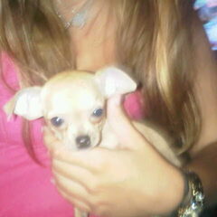 Weer pip ze wou niet stil staan haha