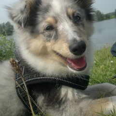 mainey 14weken