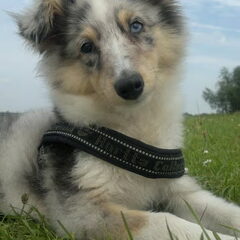 mainey 14weken