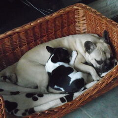 Knus in de mand!