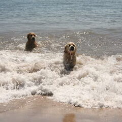 Deze foto is genomen in engeland (wales)