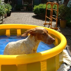 Martina in de zomer !! ze mag altijd graag zwemmen in het…