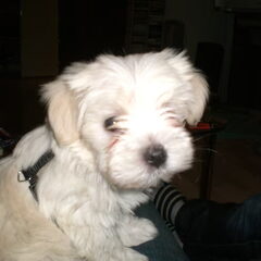 kleine lieve ukkie...