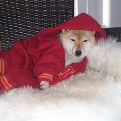 just chillin