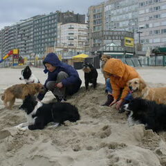 Hier zie je Gowah en Akso aan zee, samen met al hun…