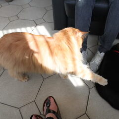 Kaira en Dolce toen ze pas thuis was