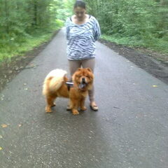 14/08/11 wandeling in het bos vond hij super !