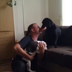 Samen met het baasje spelen